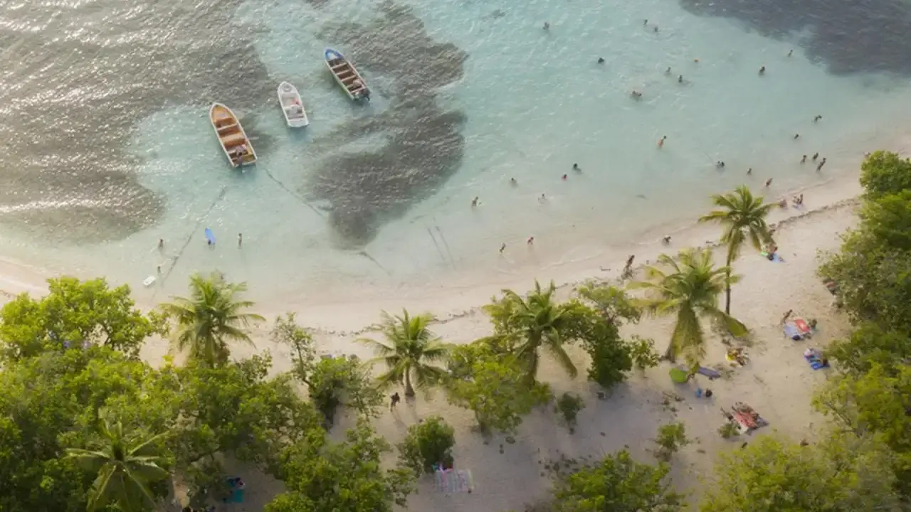 Rajska plaża na Gwadelupie Francuskiej. Ludzie kąpią się w turkusowej wodzie, łodzie kołyszą się przy brzegu, a palmy szumią nad piaszczystą plażą.