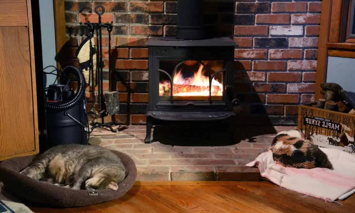 Installation poêle à bois avec deux chats endormis près du feu. Un chat tigré dort dans un panier, l'autre, tricolore, sur une couverture.