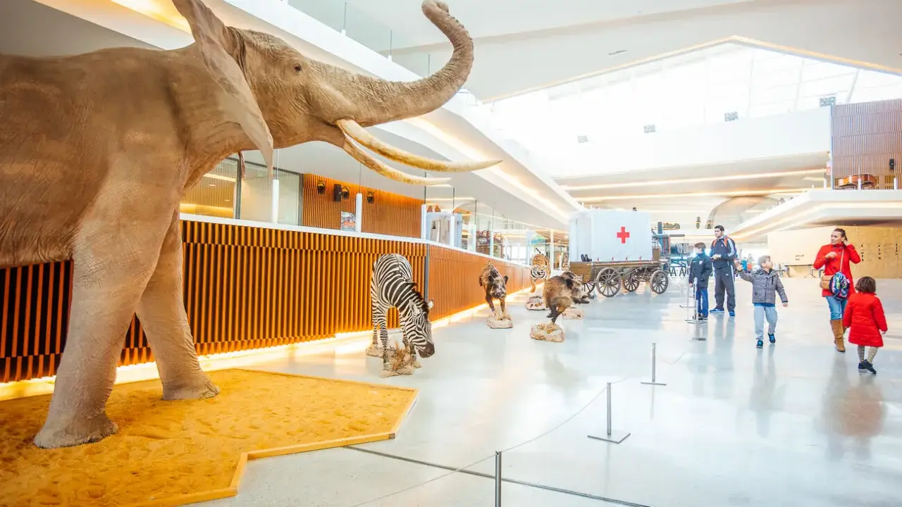 Elefante, cebra y otros animales en exhibición, ideal para actividades niños Granada gratis. Familias observan la exposición.