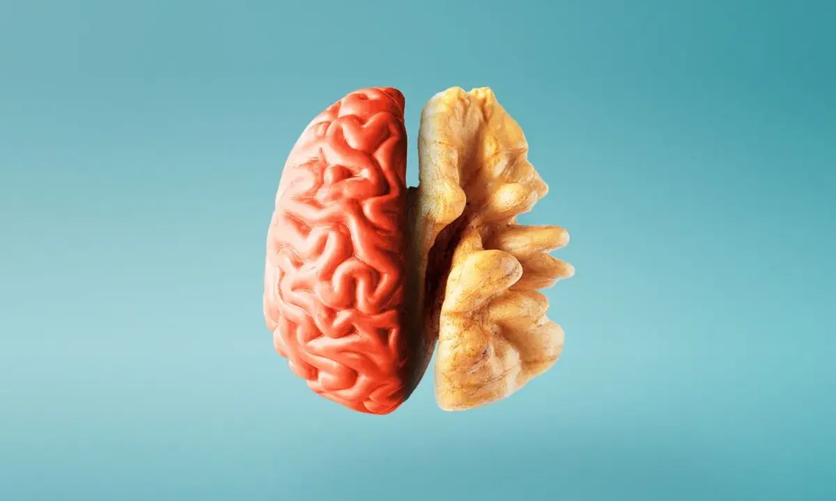Metà cervello rosso e metà noce, un'immagine che evoca i 12 alimenti che fanno bene al cervello e alla memoria.