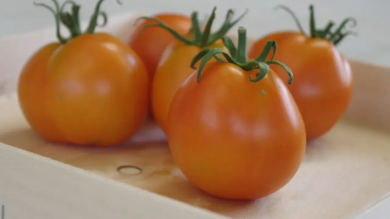 Cinq tomates orangées, comme des ananas noirs, reposent dans une caisse en bois.