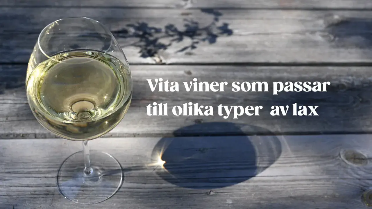 Glas med vitt vin på träbord, perfekt vitt vin till lax.