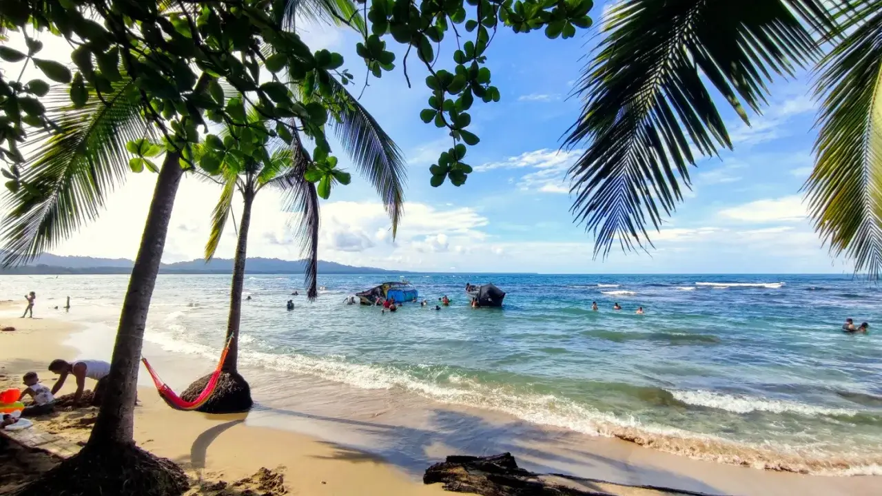 Sonniger Strand in Puerto Viejo mit Palmen, Hängematte und Menschen im türkisfarbenen Meer.