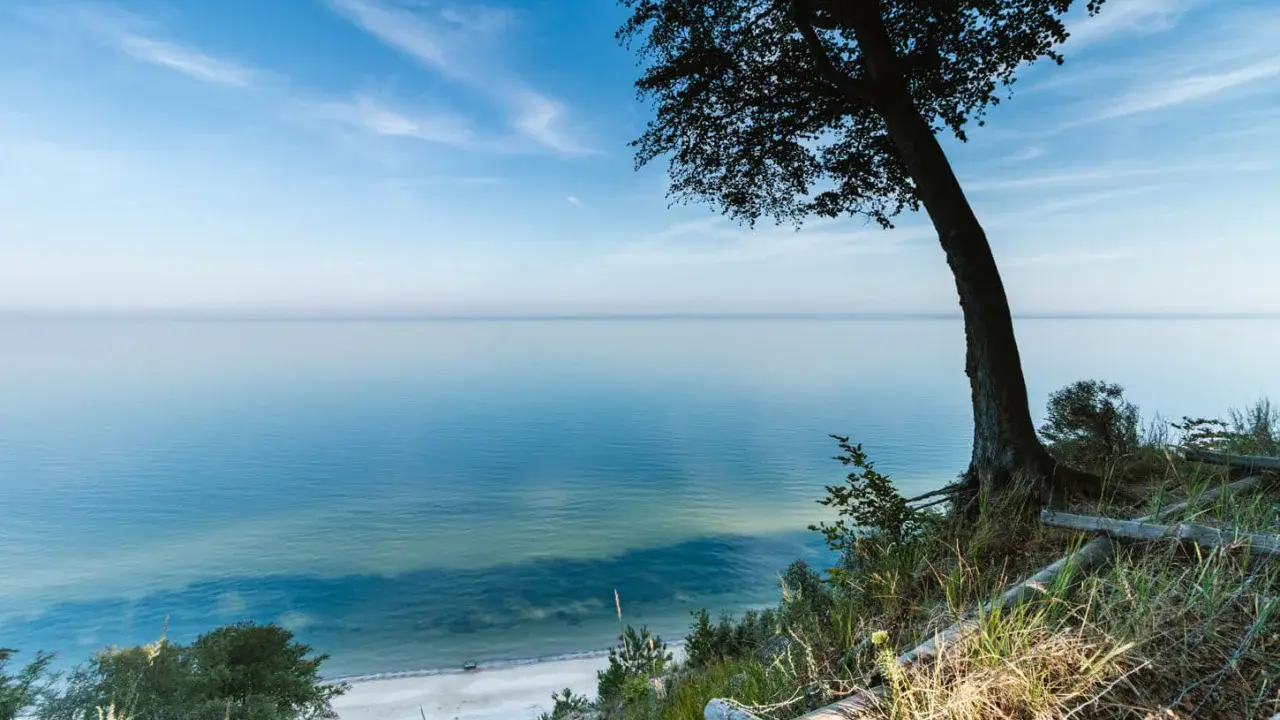 Widok na spokojne morze z klifu w Międzyzdrojach. Drzewo na pierwszym planie, plaża w oddali. Piękne międzyzdroje atrakcje przyrodnicze.