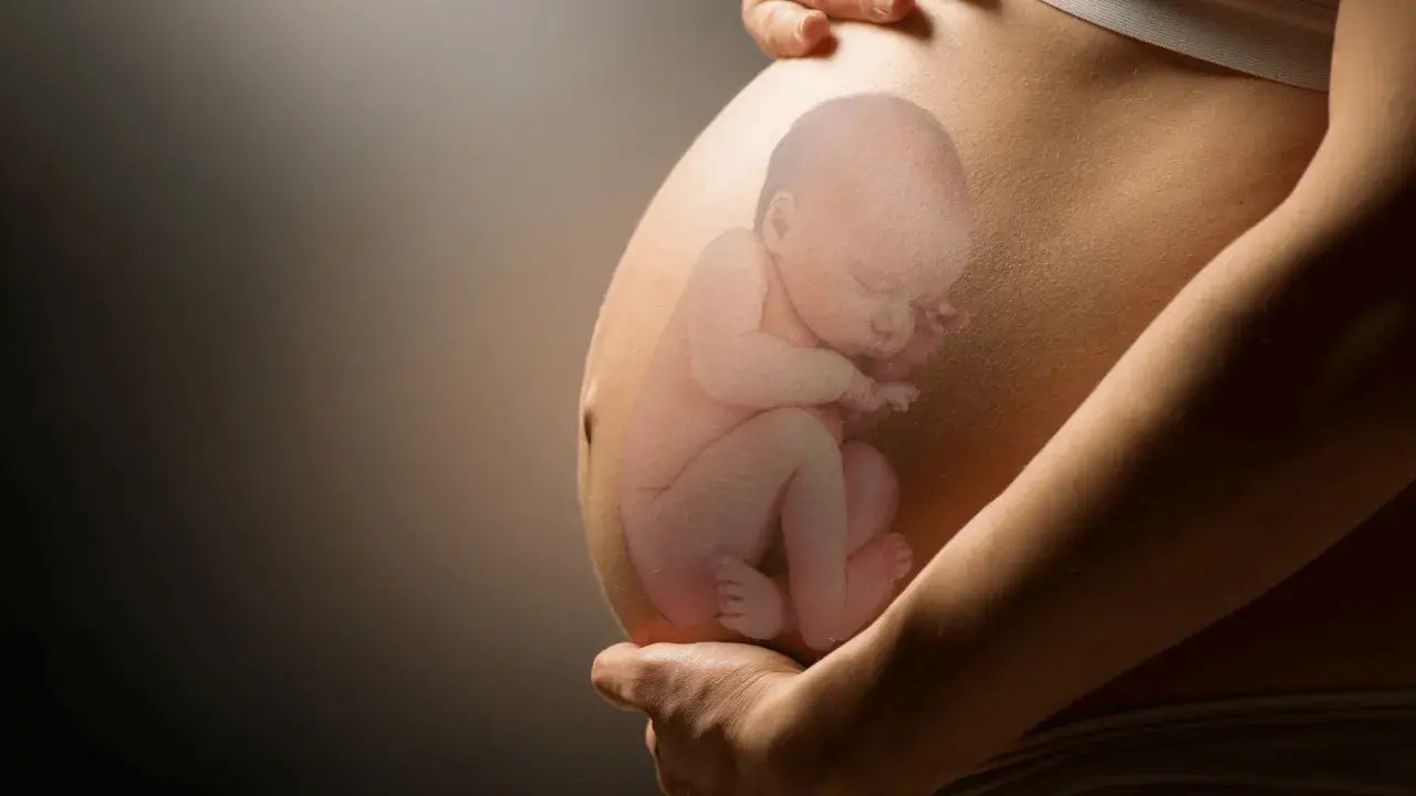 Pancia di donna incinta con immagine sovrapposta di un feto in posizione podalica, con le gambe rivolte verso il basso.