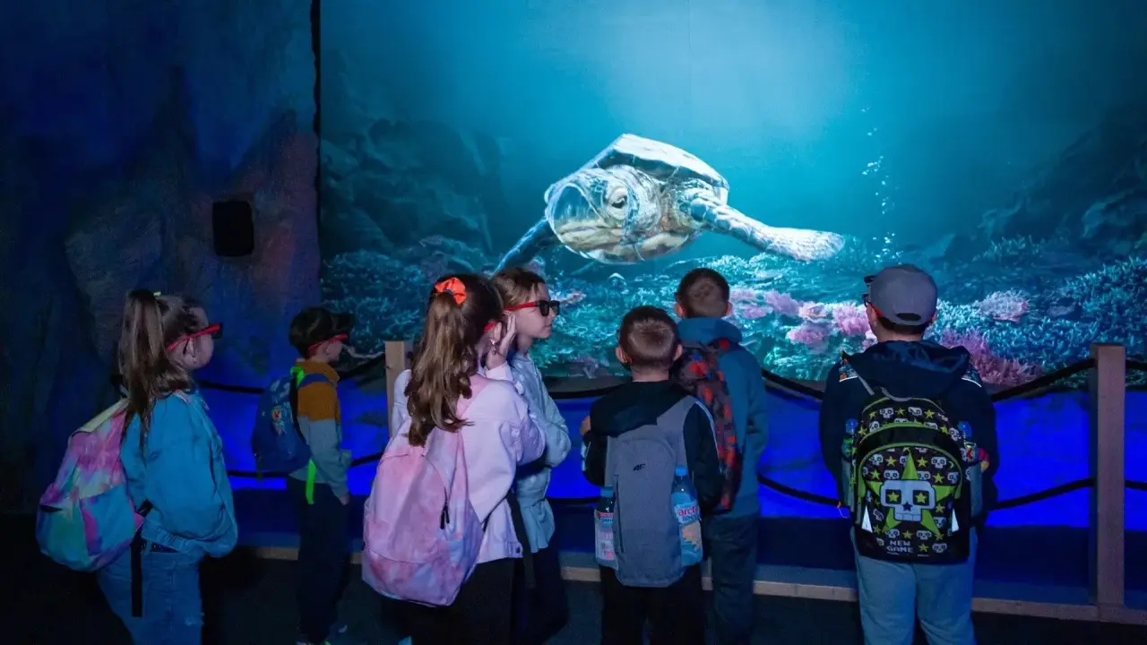 Oceanarium Blue City? Poznaj World of Reptiles największą wystawę!
