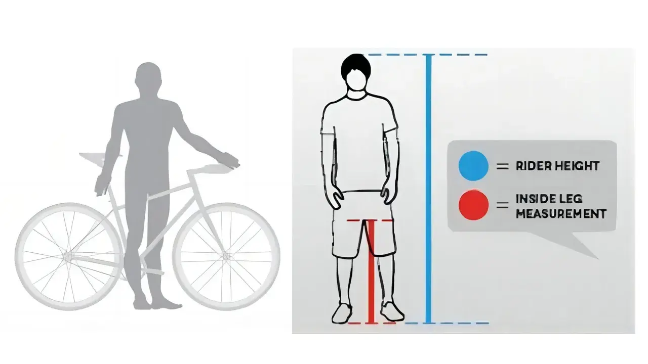 Jak dobrać ramę 58 cm na jaki wzrost? Ilustracja pokazuje pomiar wzrostu i długości nogi, by dobrać rower.