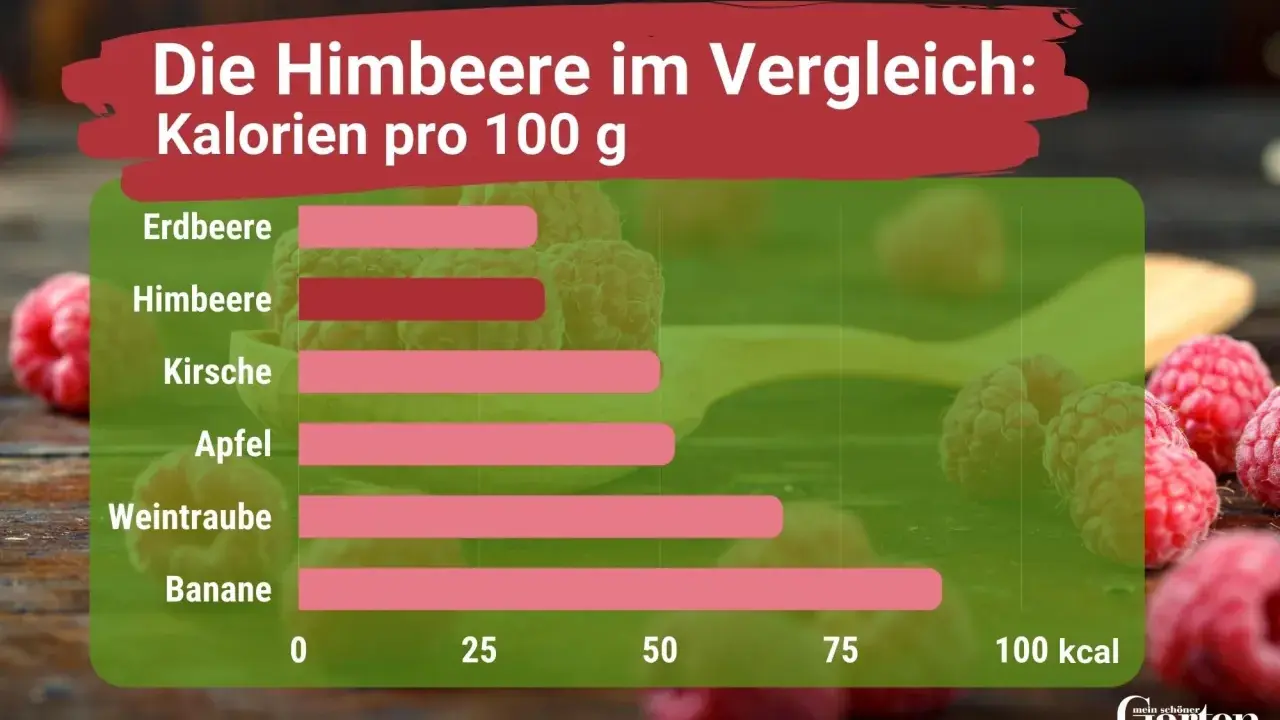 Vergleich von Kalorien pro 100g: Himbeeren sind gesund und haben weniger Kalorien als Bananen.