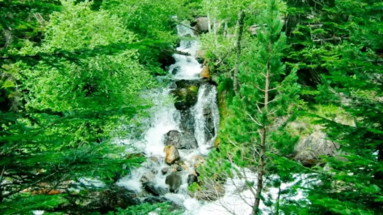 Cascada entre frondosos árboles verdes, ideal para benasque rutas sencillas. El agua desciende por rocas en un entorno natural exuberante.