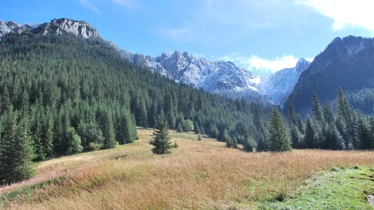 Piękna Dolina Kościeliska. Ile km do schroniska? Wspaniały widok na las i ośnieżone szczyty.