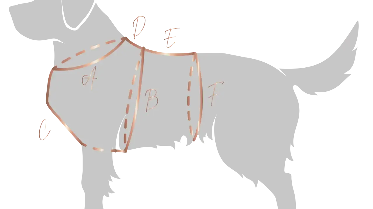 Ilustracja pokazuje schematyczne ujęcie psa z zaznaczonymi liniami i literami (A, B, C, D, E, F), które pomagają określić, jak zmierzyć szelki dla psa.