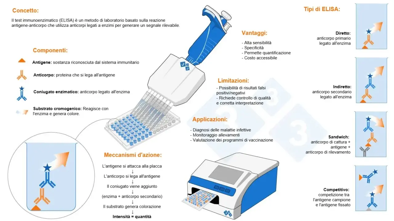 Schema del metodo ELISA: illustra componenti, vantaggi, limitazioni, applicazioni e tipi di test immunoenzimatico.