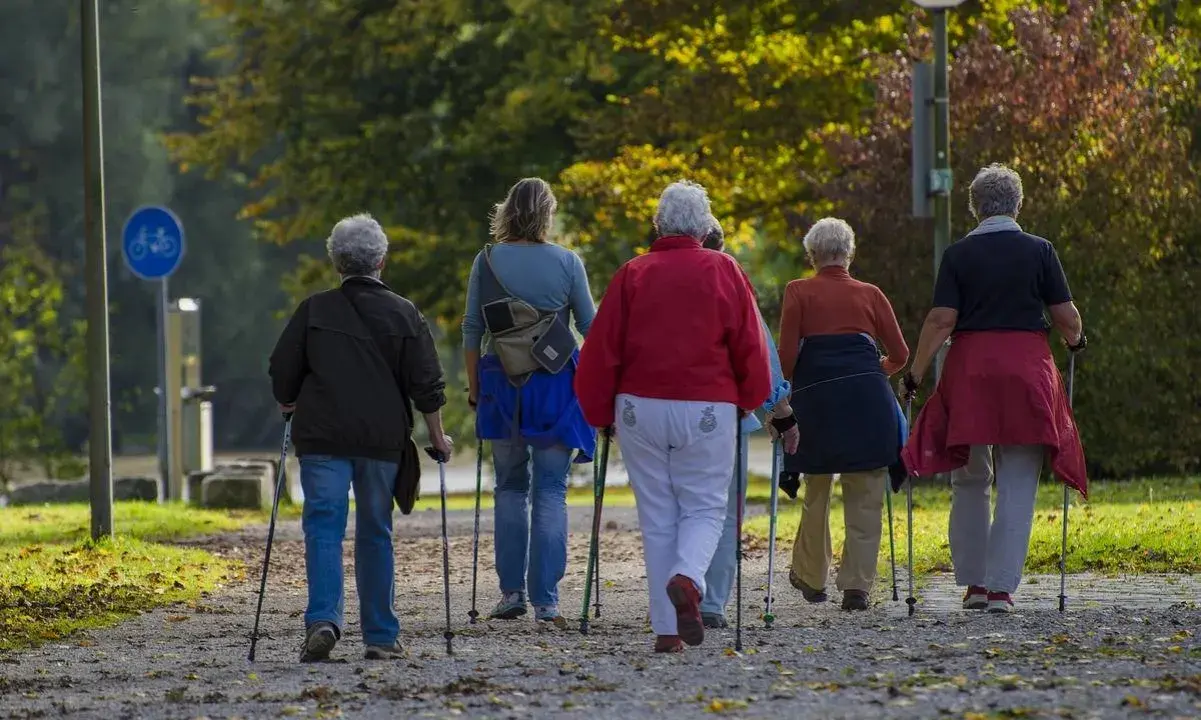 Grupa osób uprawia nordic walking. To świetna forma aktywności, choć ma swoje zalety i wady.