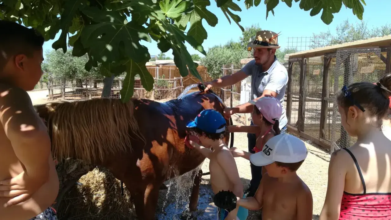 Children and a man wash a brown horse under a fig tree at a farm.