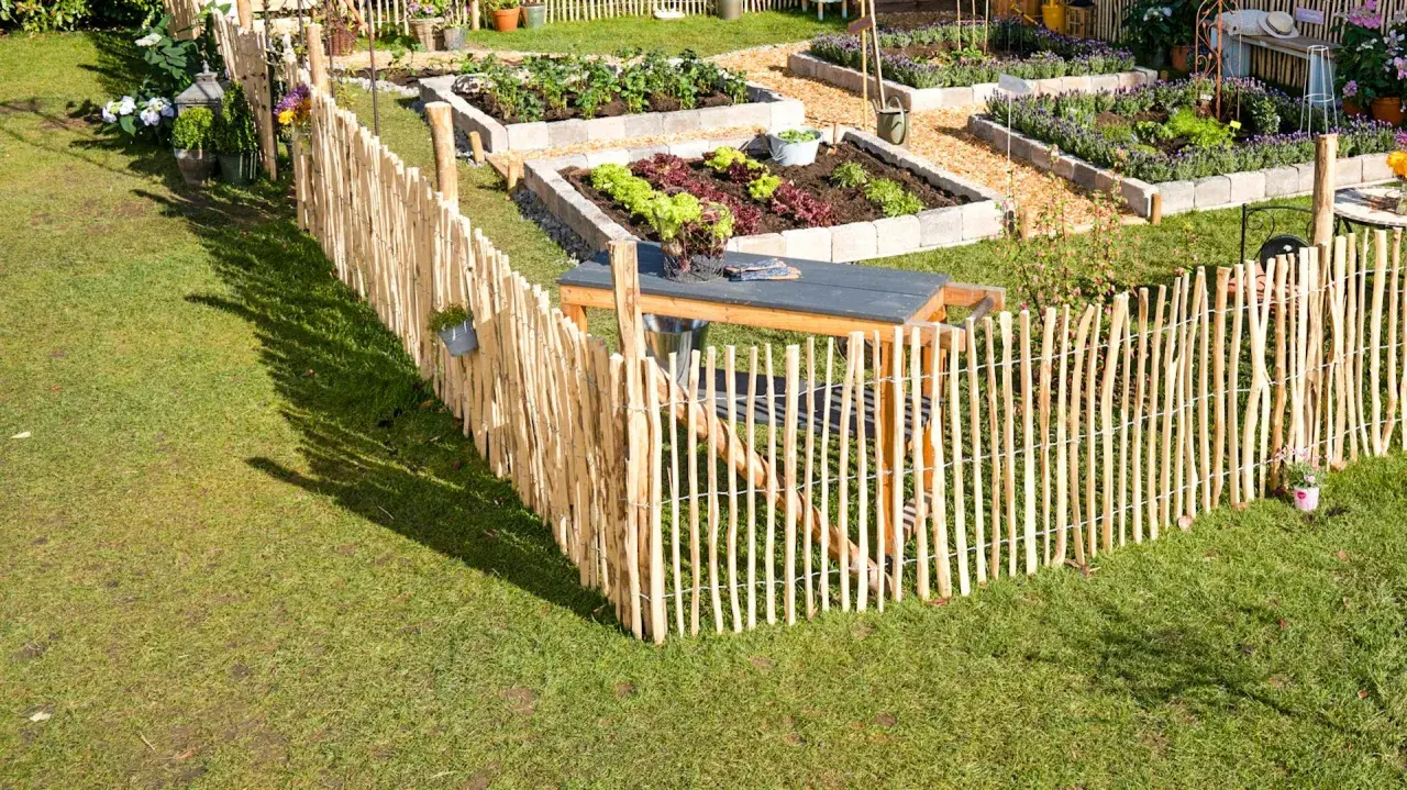 Ein rustikaler Staketenzaun wird befestigt, um einen liebevoll angelegten Gemüsegarten mit Hochbeeten zu umzäunen.