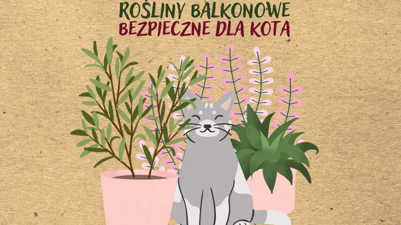Uśmiechnięty kotek wśród roślin balkonowych bezpiecznych dla kota. Zielone i różowe kwiaty w doniczkach.