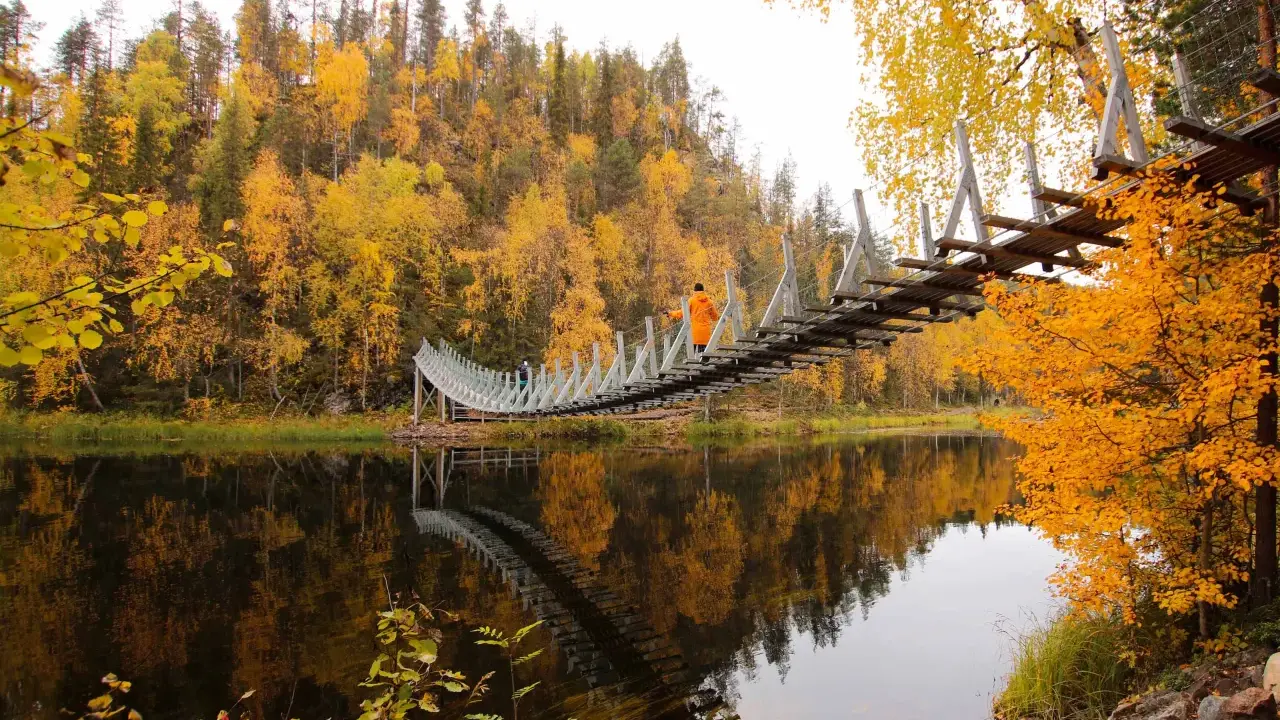 En hängbro över en spegelblank sjö i Lapplands natur, omgiven av höstens gyllene lövträd.