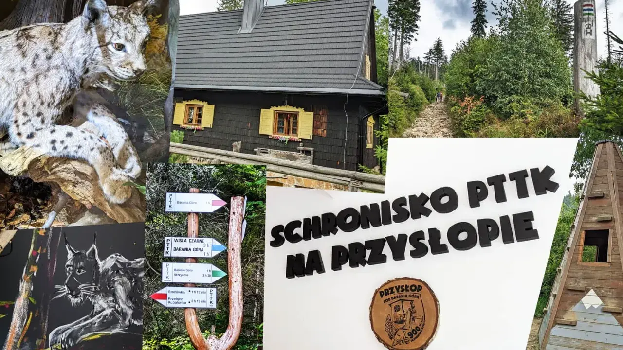 Schronisko PTTK na Przysłopie pod Baranią Górą. Widok na chatę, szlaki turystyczne i rysunki rysi.