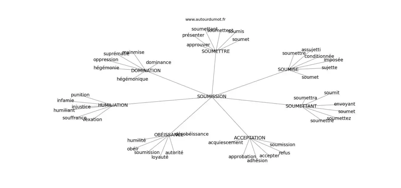 Carte mentale explorant les synonymes de "soumission" : domination, humiliation, obéissance, acceptation, soumise, assujetti.