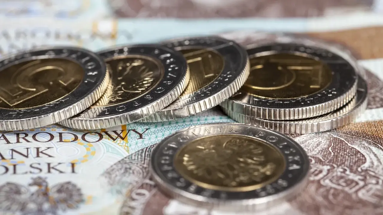 Złote monety i banknoty Narodowego Banku Polskiego. Czy dodatek pielęgnacyjny to wsparcie, czy zasiłek pielęgnacyjny?