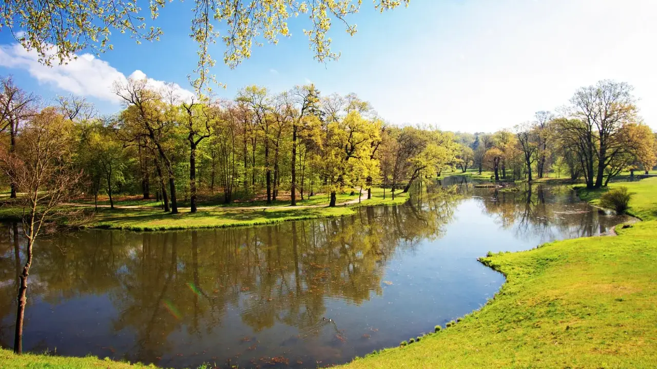 Malowniczy park z jeziorem i drzewami w wiosennej odsłonie. Idealne miejsce na spacer i podziwianie łęknica atrakcje.