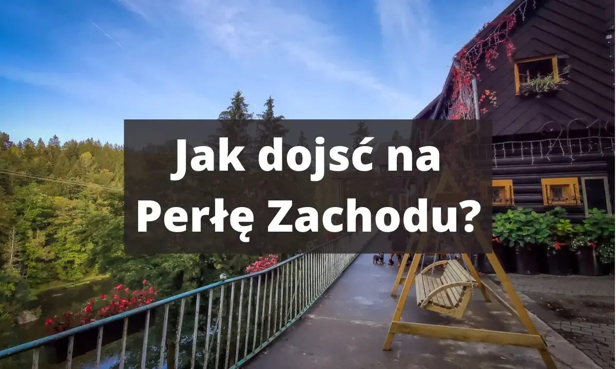 Jak dojechać na Perłę Zachodu? Malowniczy widok na las i rzekę, drewniany domek i huśtawka zapraszają.