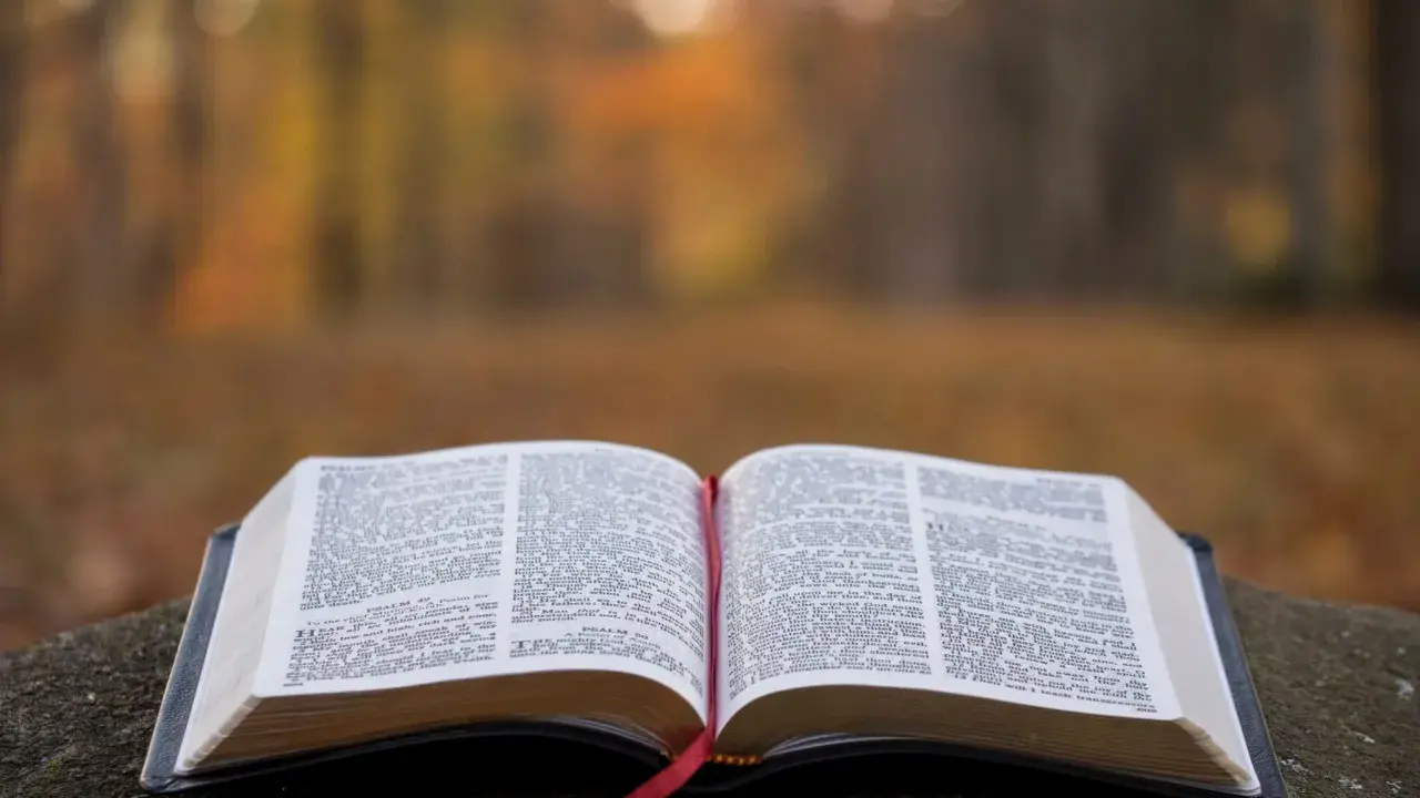 Otwarta Biblia na kamieniu, w tle jesienny las. Wzmianka o św. Marku patronie.