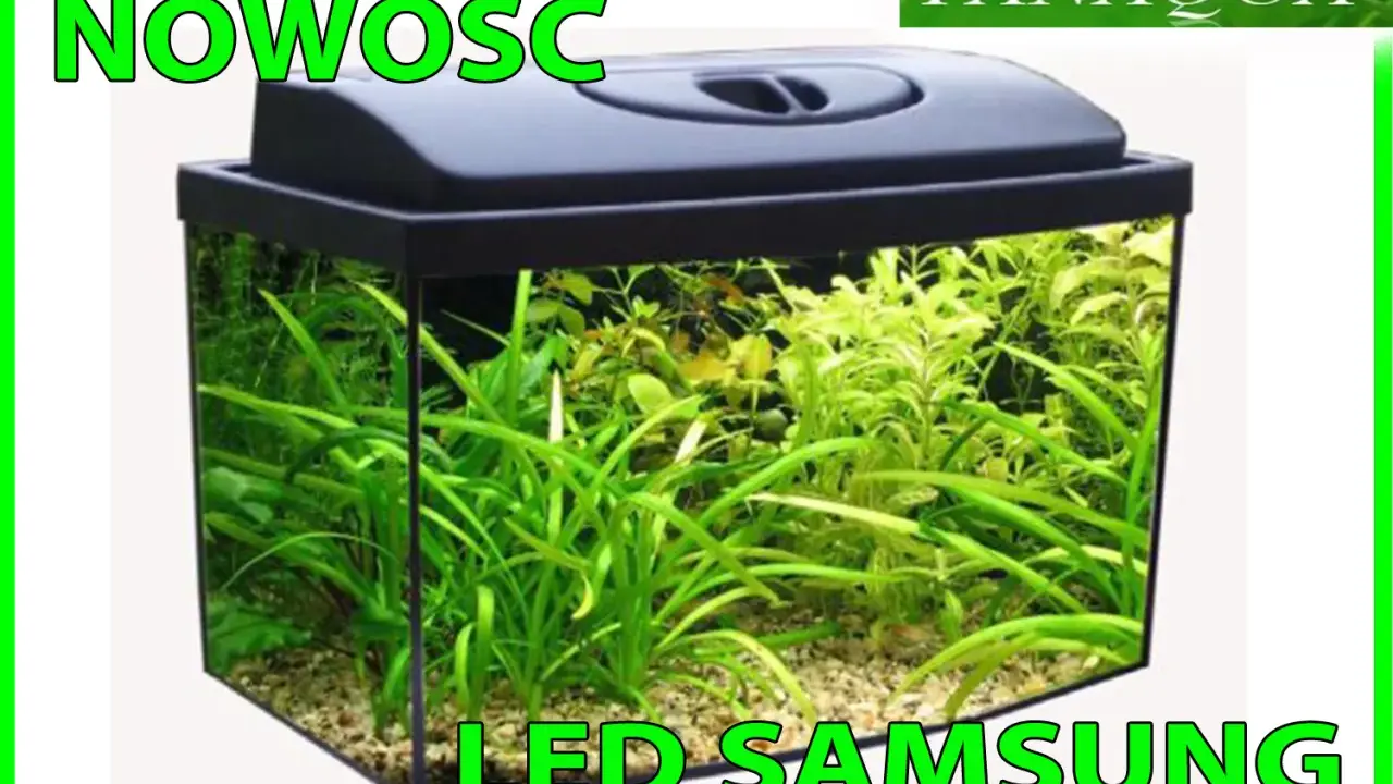 Nowość! Akwarium 60l z bujną roślinnością i oświetleniem LED Samsung. Idealne do stworzenia podwodnego świata.