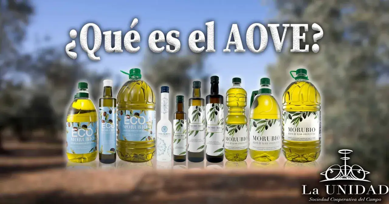 Varias botellas de aceite de oliva virgen extra (AOVE) Morubio. El AOVE es un alimento saludable y versátil, ideal para cocinar y aliñar.