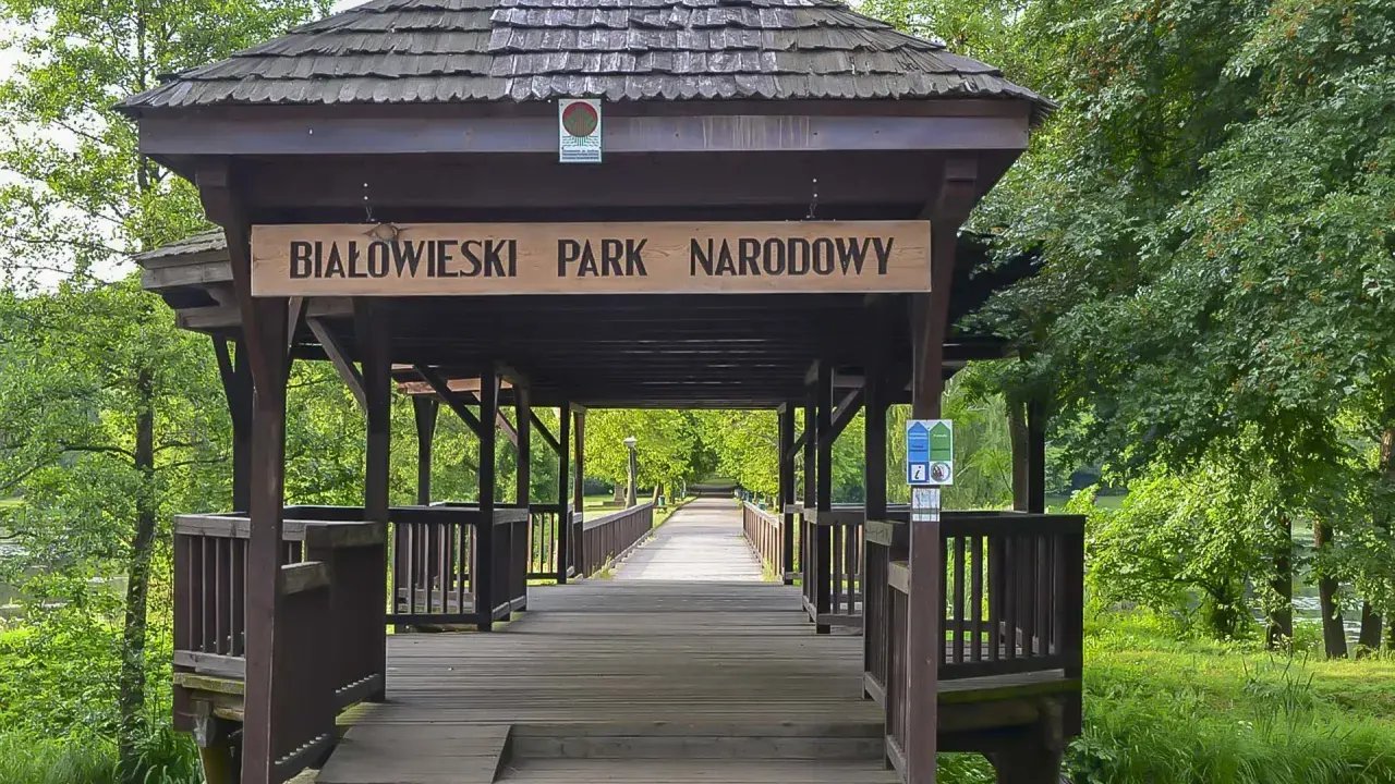 Drewniany mostek prowadzi do Białowieskiego Parku Narodowego, najstarszego parku narodowego w Polsce.
