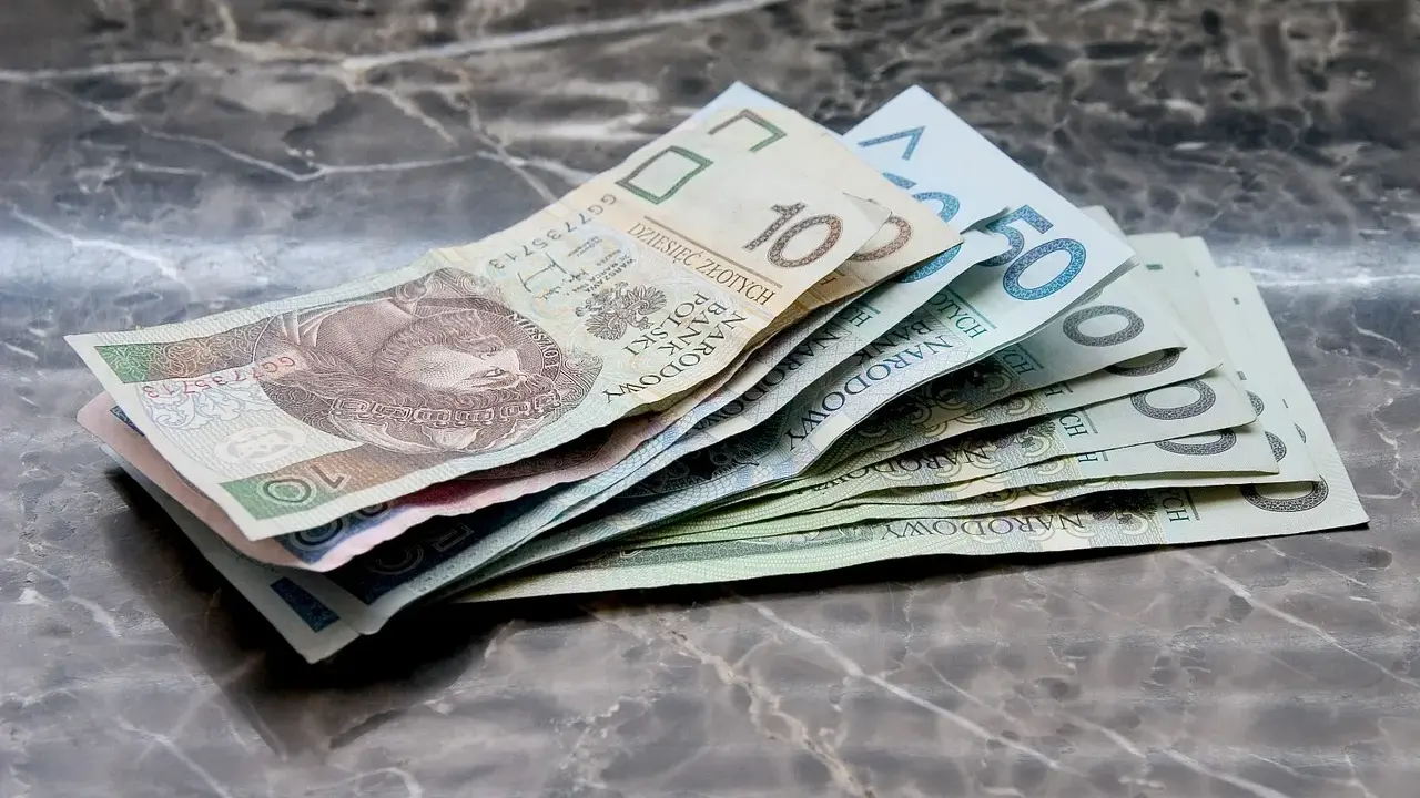 Zbiór polskich banknotów, od 10 do 50 zł, leżących na marmurowym blacie. Warto wiedzieć, jak odzyskać zaległe alimenty, gdy pieniądze są tak potrzebne.