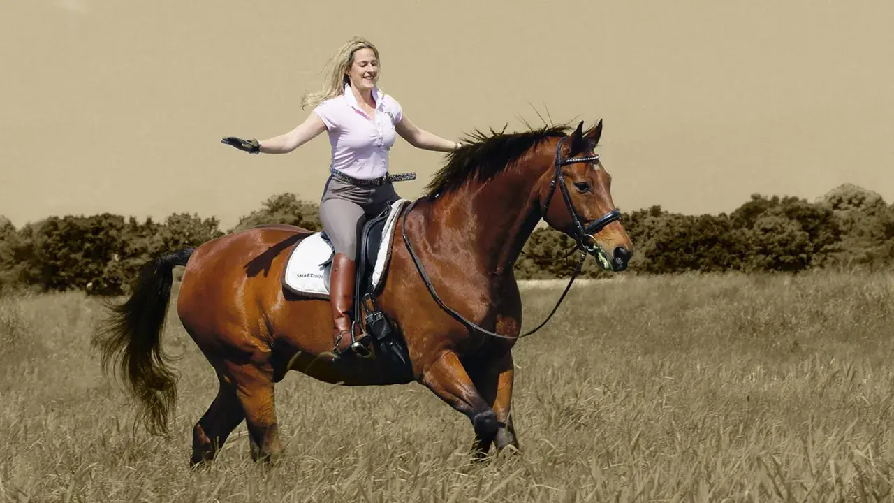 Glückliche Frau lernt reiten, genießt den Ritt auf einem braunen Pferd durch hohes Gras.