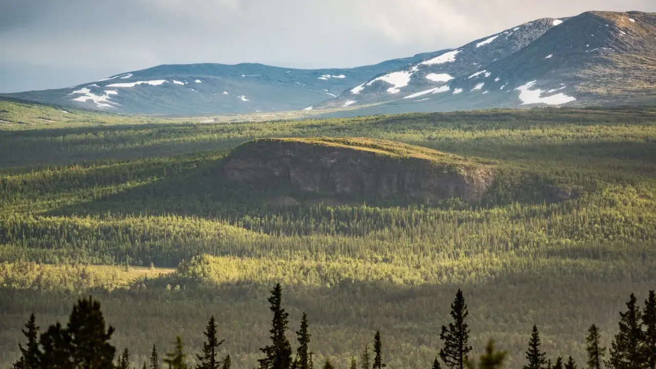 Välkommen till Vålådalens naturreservat! En vidsträckt vy över fjäll, skog och snöfläckar under en dramatisk himmel.