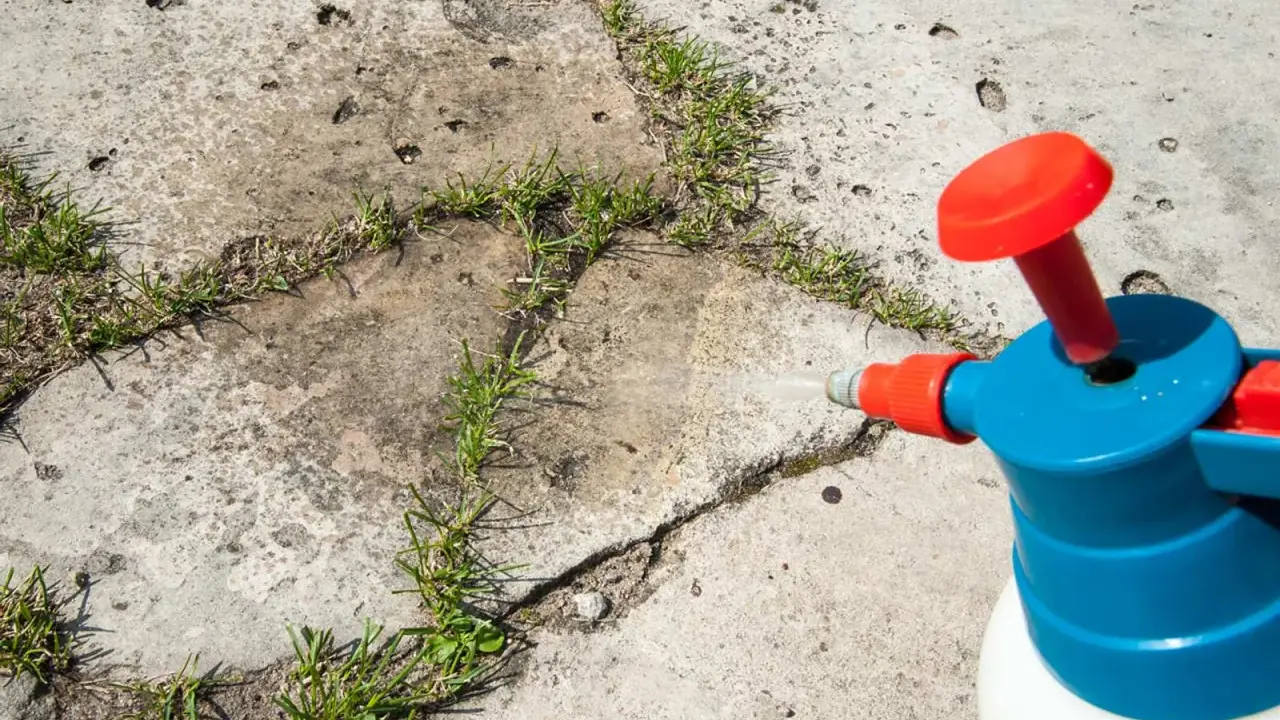 Ein Sprühgerät mit Essig als Unkrautvernichter wird auf Unkraut in Betonritzen gerichtet.