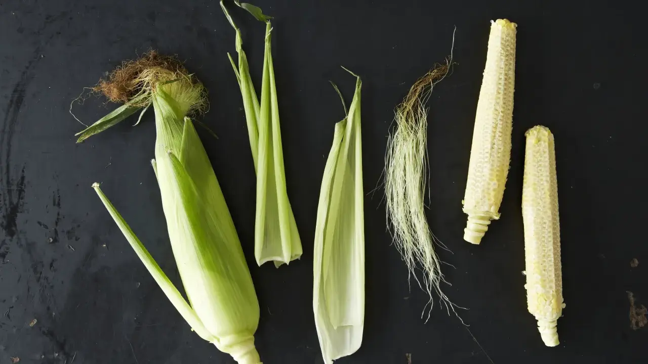Corn husks, silk, and cobs are arranged on a dark surface. This visual might inspire thoughts on how far apart to plant corn for optimal growth.