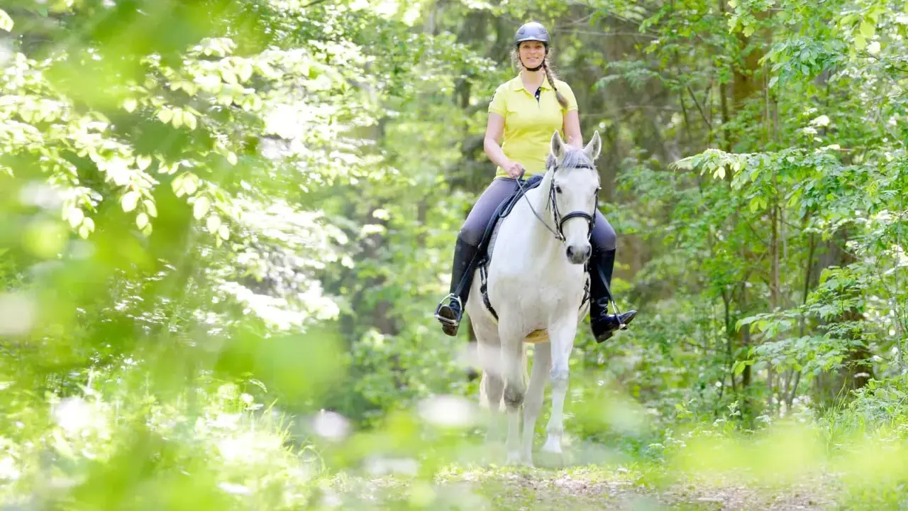 Eine Frau reitet auf einem weißen Pferd durch einen sonnendurchfluteten Wald. Das **Pferd ausreiten** ist ein idyllisches Erlebnis.