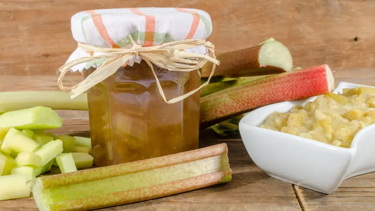 Un bocal de confiture de rhubarbe pas trop sucrée, entouré de tiges de rhubarbe fraîchement coupées et d'un bol de compote.