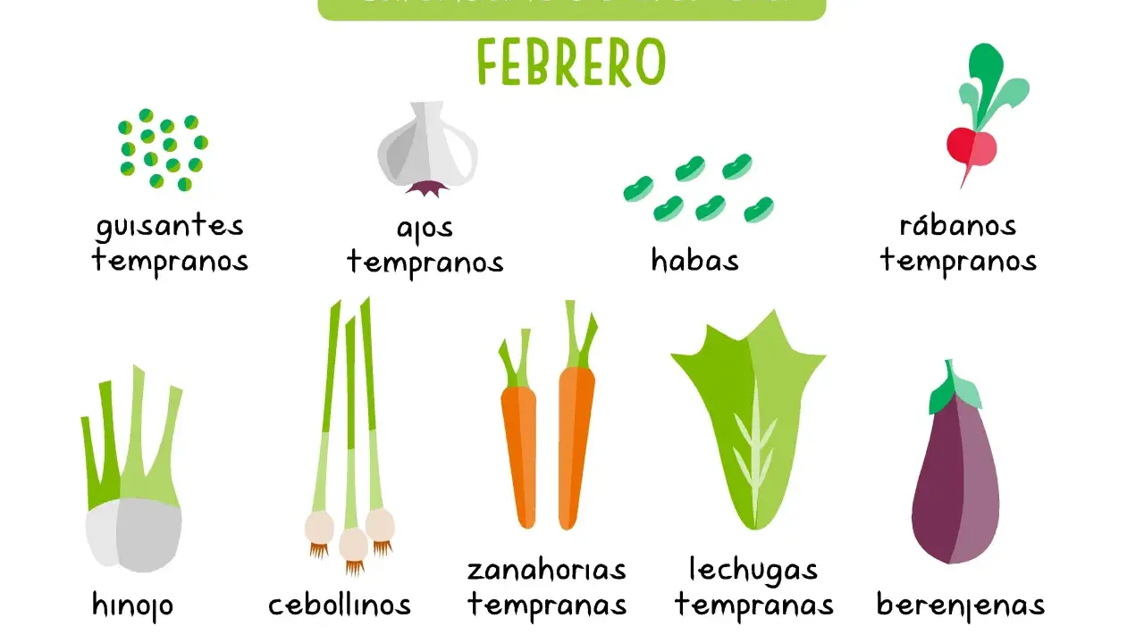 Calendario de siembra de febrero: guisantes, ajos, habas, rábanos, hinojo, cebollinos, zanahorias, lechugas y berenjenas.
