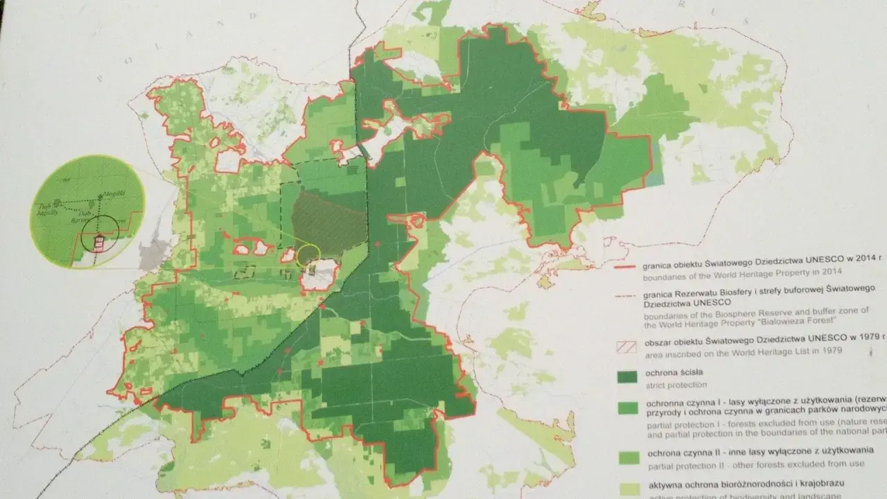 Mapa Puszczy Białowieskiej z zaznaczonymi strefami ochrony. Plan zwiedzania uwzględnia granice UNESCO i Rezerwatu Biosfery.