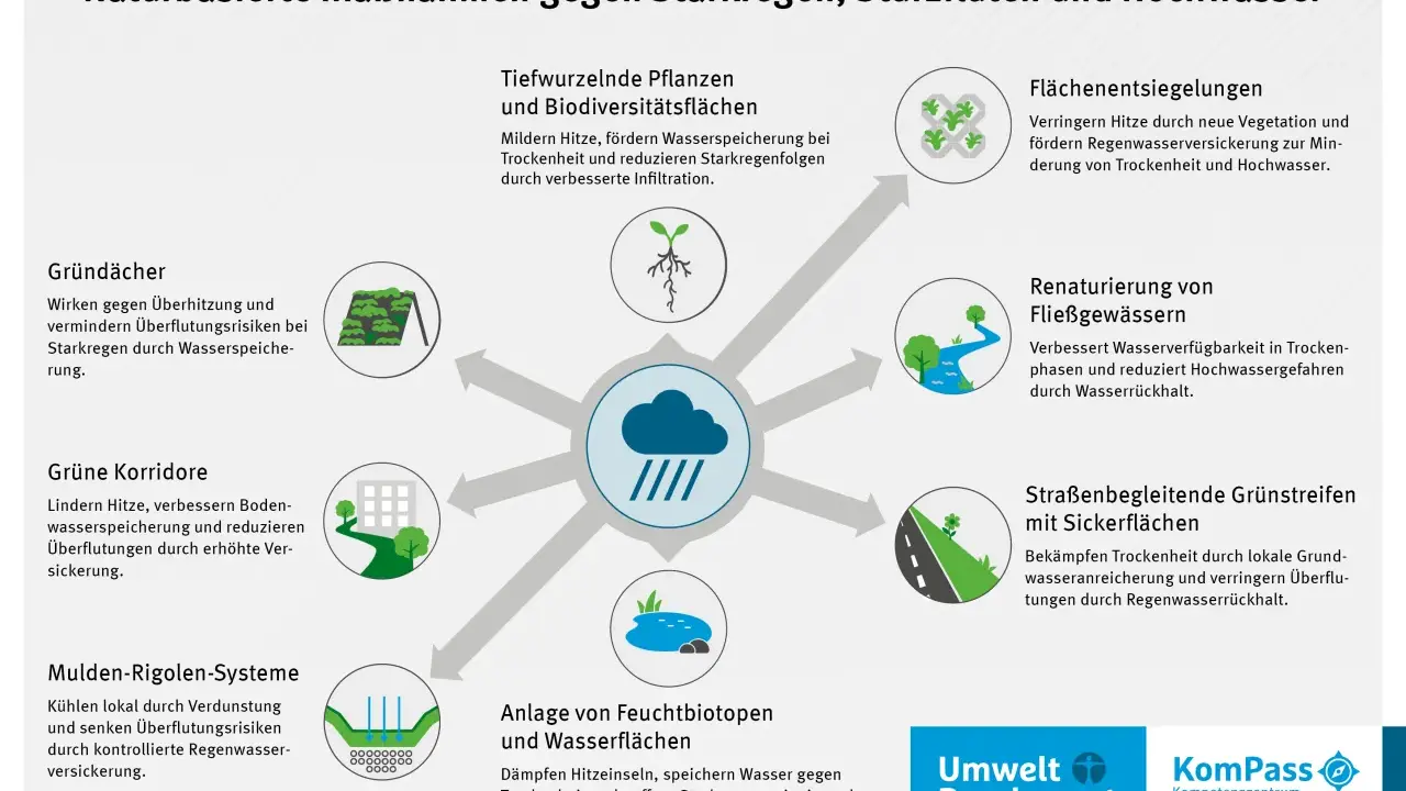 Naturbasierte Maßnahmen gegen Starkregen: Gründächer, Grünkorridore, Feuchtbiotope – alles, was hilft, nicht in my backyard.
