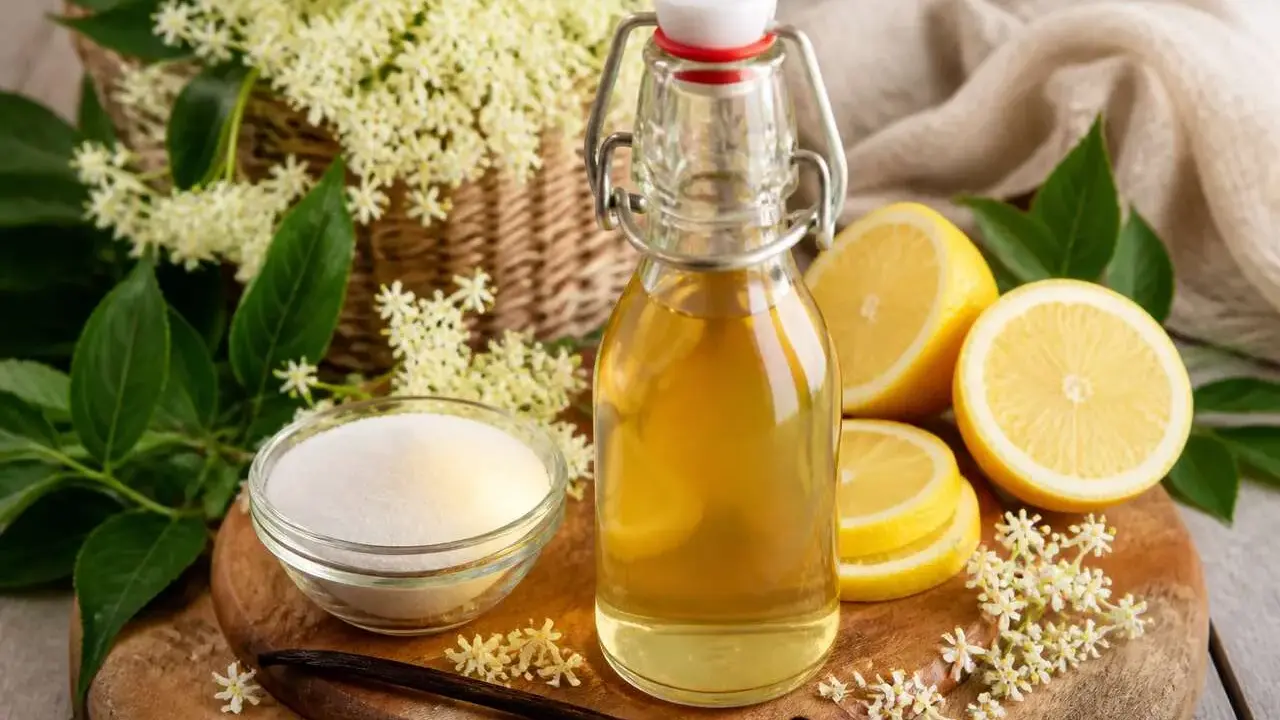 Bouteille de sirop de sureau, citrons, sucre et fleurs de sureau. Une recette de grand-mère pour un sirop fait maison.