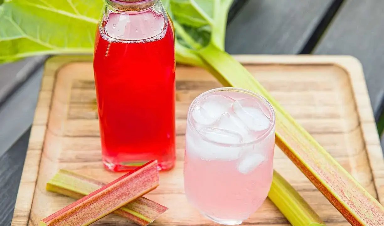 En flaska med röd rabarbersaft och ett glas med is och rosa rabarbersaft står på en träbricka. Rabarberstjälkar ligger bredvid.