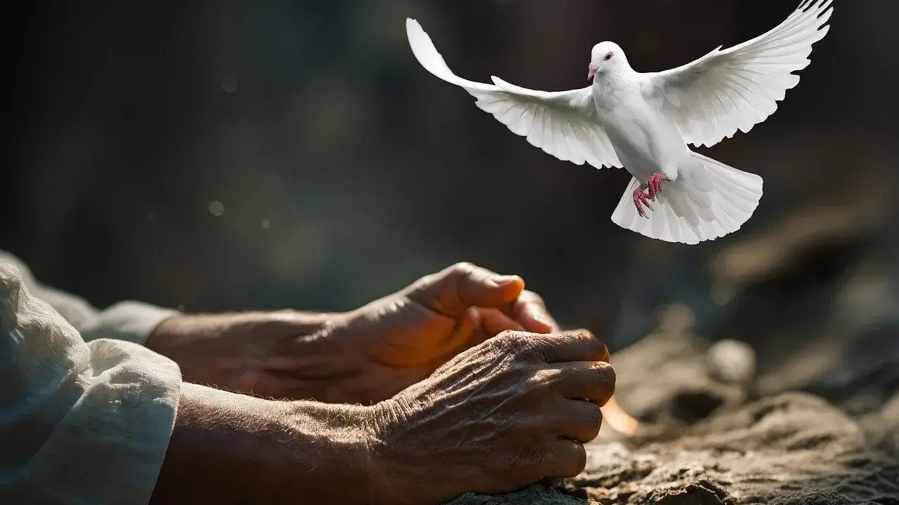 Biały gołąb wzbija się nad złożonymi dłońmi, symbolizując wolność i nadzieję, jak w psalm 150 tekst.