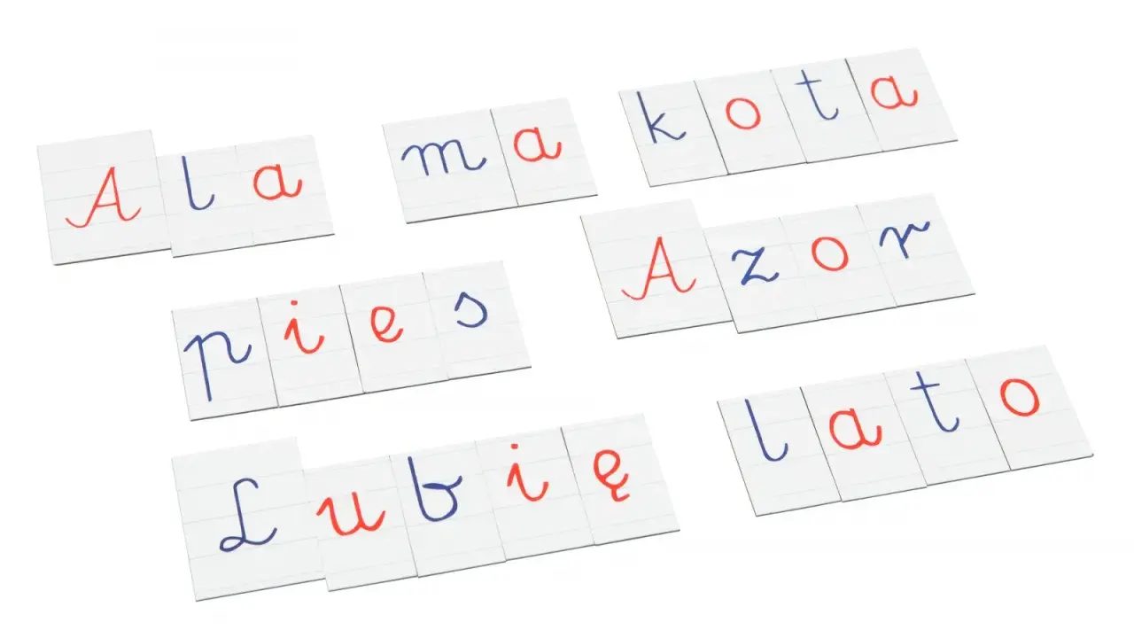 Karty z pisane litery polskie: Ala ma kota, pies, Azor, lubię lato.