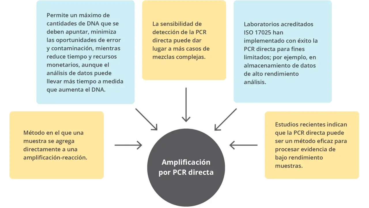 Diagrama de flujo con un círculo central que dice "Amplificación por PCR directa" rodeado de cuadros de texto con información sobre sus beneficios y aplicaciones.