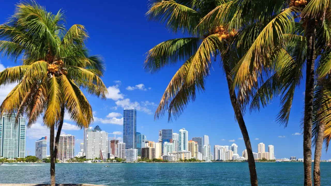 Miami: Kiedy jechać, by pogoda i ceny były idealne?