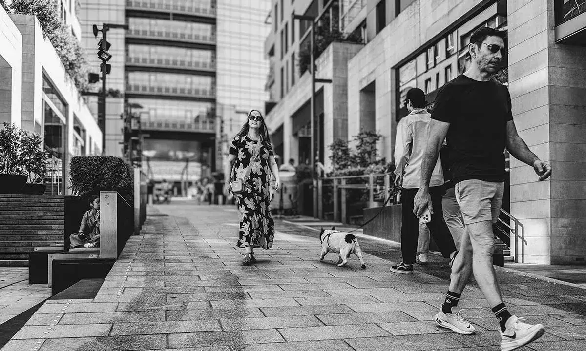 Street fotografia in bianco e nero: una donna con un vestito floreale passeggia con un cane, mentre altri camminano sullo sfondo.