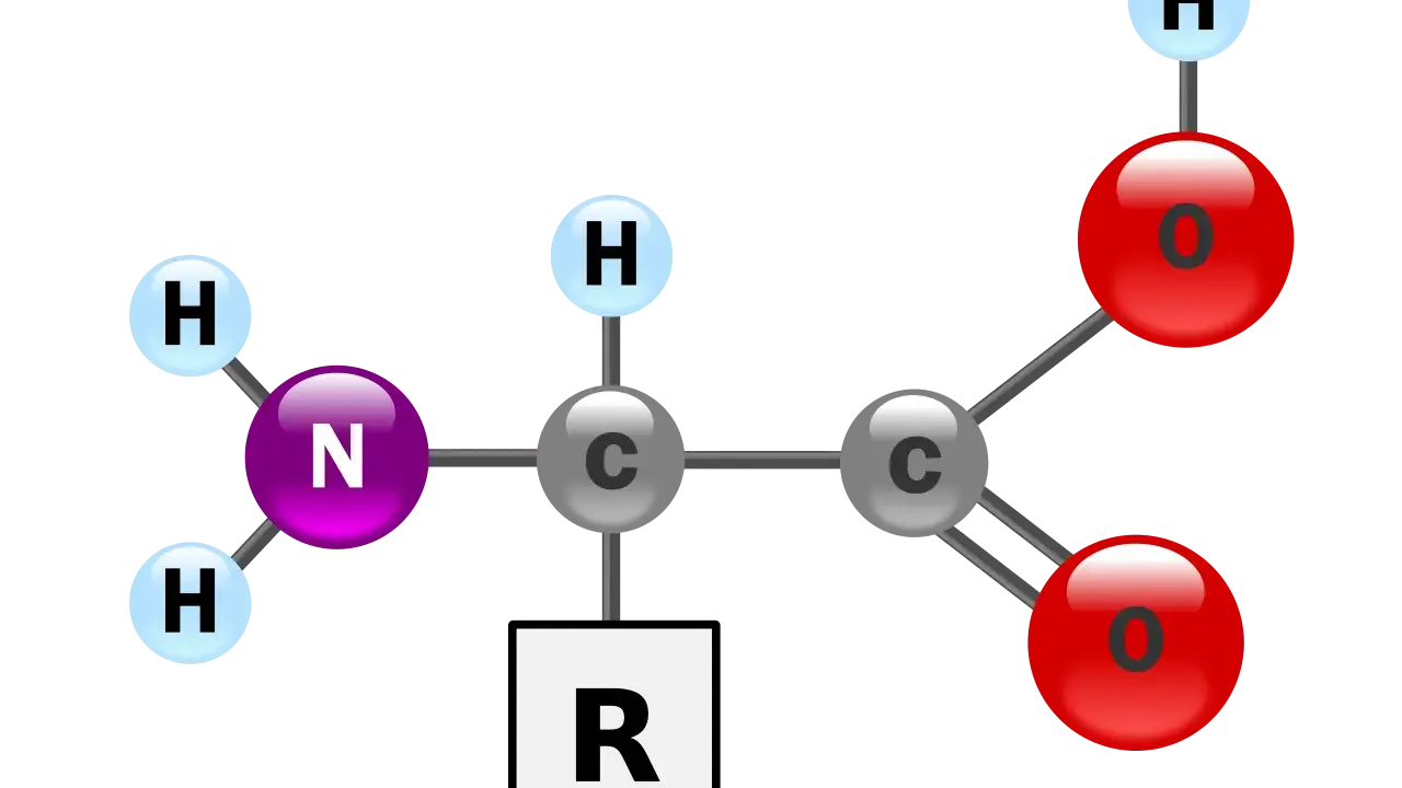 Strukturformel einer alpha Aminosäure mit Aminogruppe (N, H), Carboxylgruppe (C, O) und variablem Rest (R).