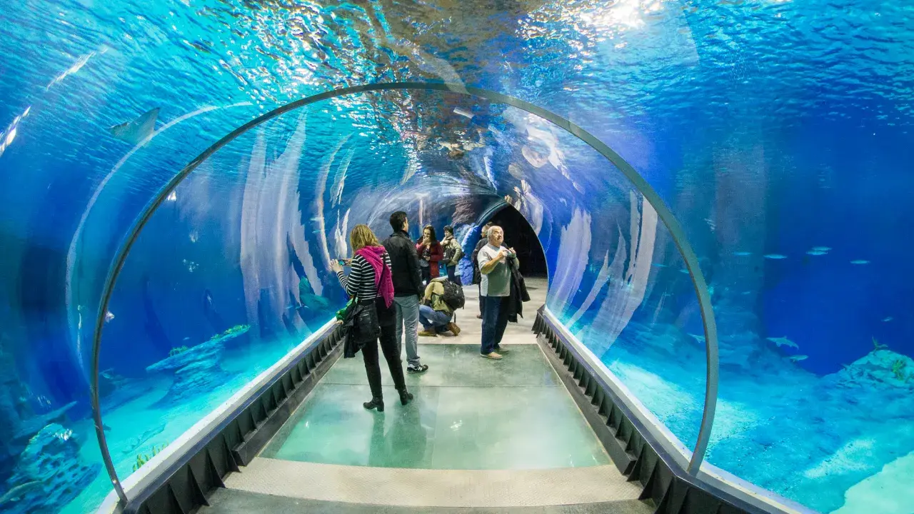 Afrykarium a oceanarium: Nie są synonimami! Poznaj różnice