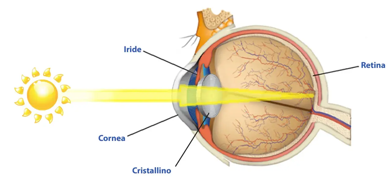 Diagramma occhio umano: luce solare entra da cornea, cristallino, iride, focalizza sulla retina. Quanti megapixel ha l'occhio umano?